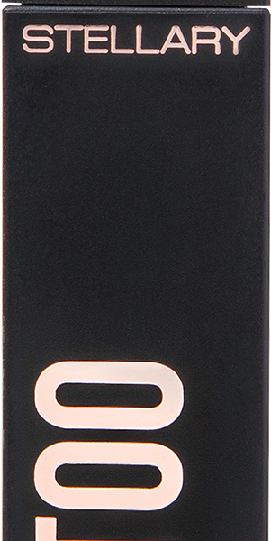 Устойчивые жидкие тени для век Stellary Long Lasting Eyetattoo 05 4 мл