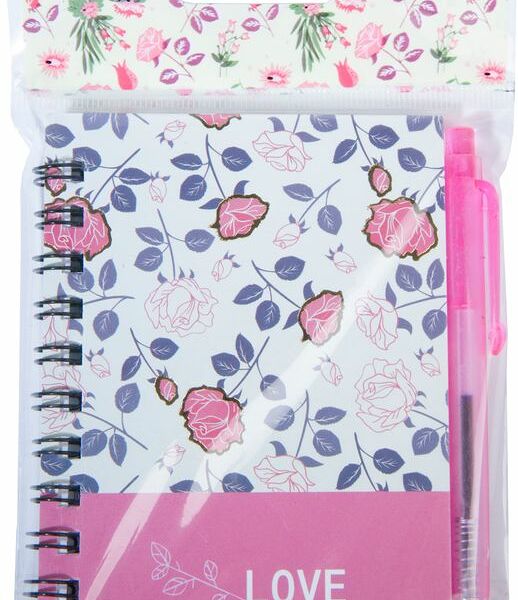 Набор Union Source блокнот 80 листов, ручка в ассортименте