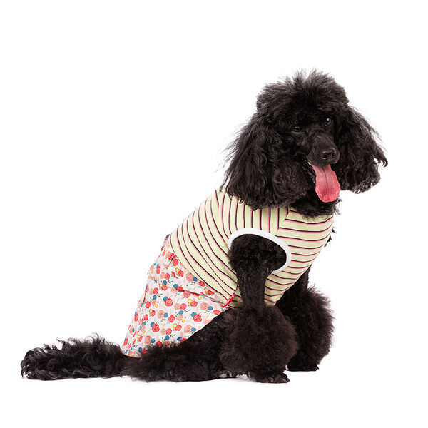 Платье для собак в полоску XL желтый (девочка)