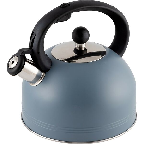 Чайник Mentolo со свистком, 2.5 л, нерж. сталь