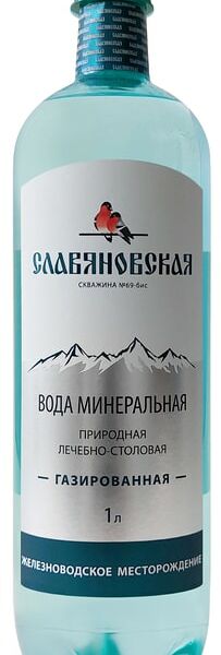 Вода Славяновская минеральная природная лечебно-столовая газированная 1л