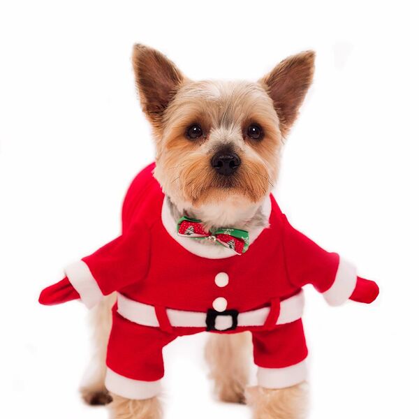 Костюм карнавальный для собак Дед Мороз L красный (мальчик)