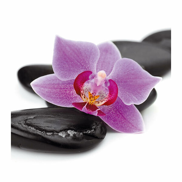 Картина на стекле Орхидея розовая, 30х30 см