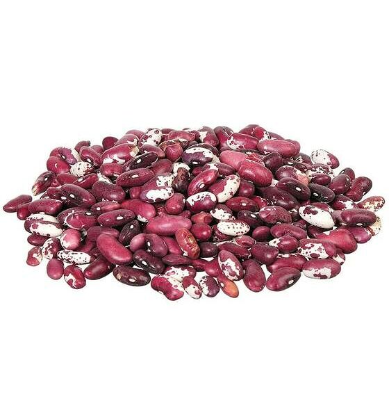 Фасоль Ласточка