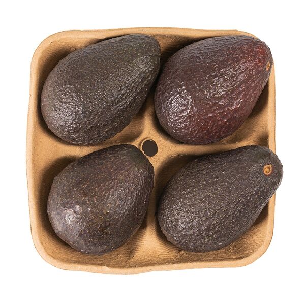 Авокадо Хаас