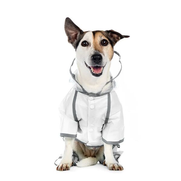 Дождевик с ножками для собак 2XL прозрачный (унисекс)