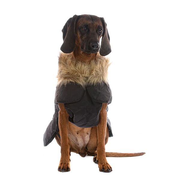 Попона с меховым воротником для собак средних пород L черный (унисекс)