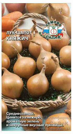 Семена Лук Княжич ТМ СеДеК
