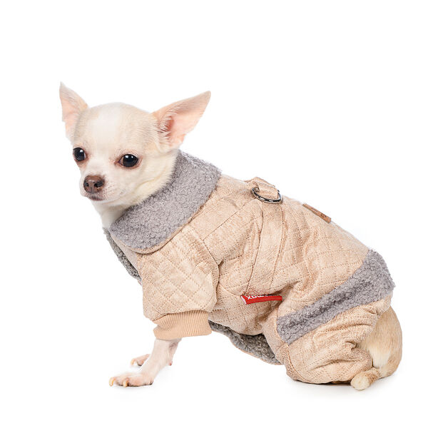 Комбинезон для собак XS бежевый (девочка)