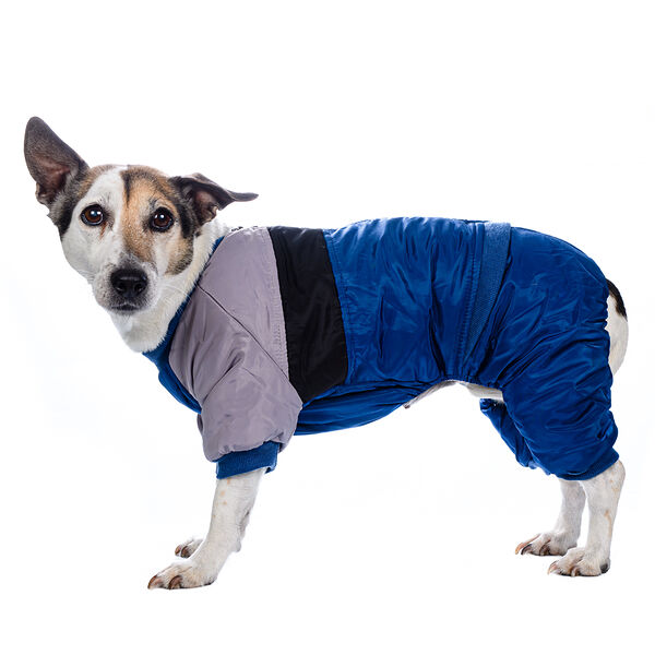 Комбинезон с замком для собак S синий (унисекс)