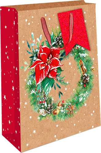 

Пакет подарочный Арт и Дизайн новый год 18х22.3х10 см крафтовый в ассортименте
