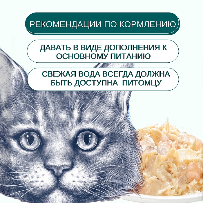 

Влажный корм для кошек Wanpy Cat Курица-гребешок 85 г