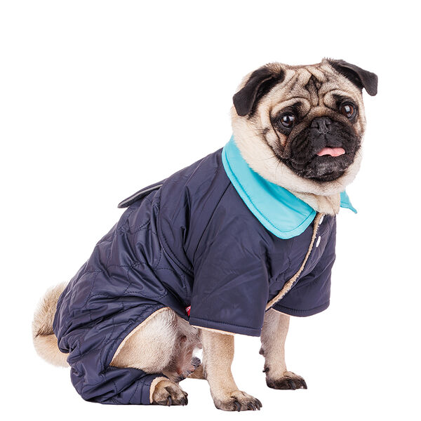 Комбинезон для собак Petmax 2XL синий (унисекс)