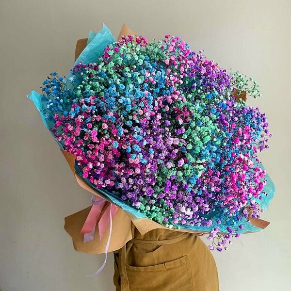 Гипсофила XXL