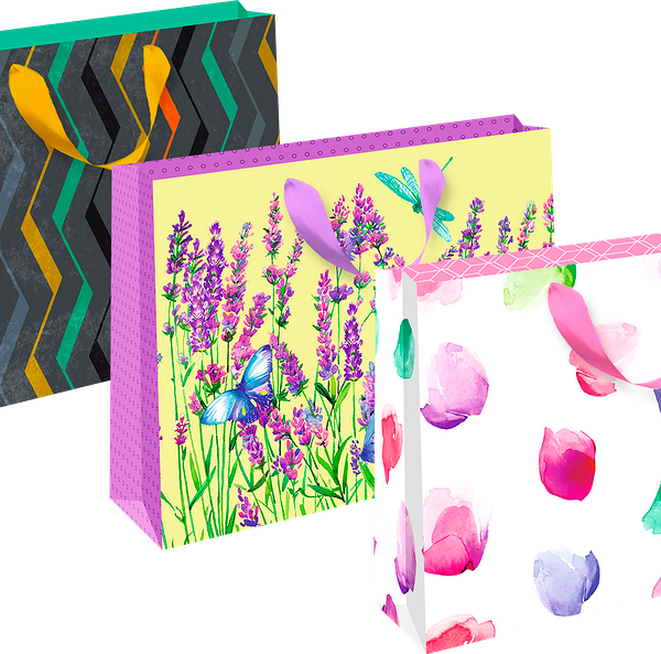 Пакет подарочный АРТ ДИЗАЙН СВ стандарт 23х18см+