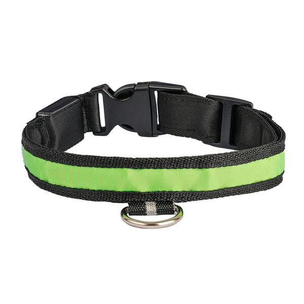 Ошейник светящийся USB Led XL 42-56см*60см