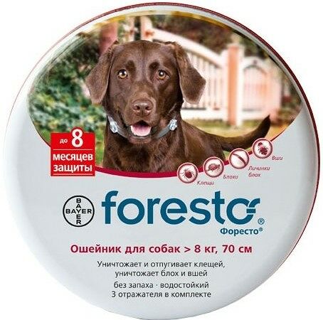 Bayer Foresto ошейник для собак более 8 кг 70 см.