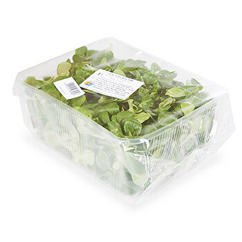 Салат Корн Израиль