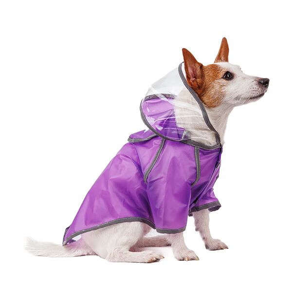 Дождевик для собак с капюшоном L фиолетовый (унисекс)