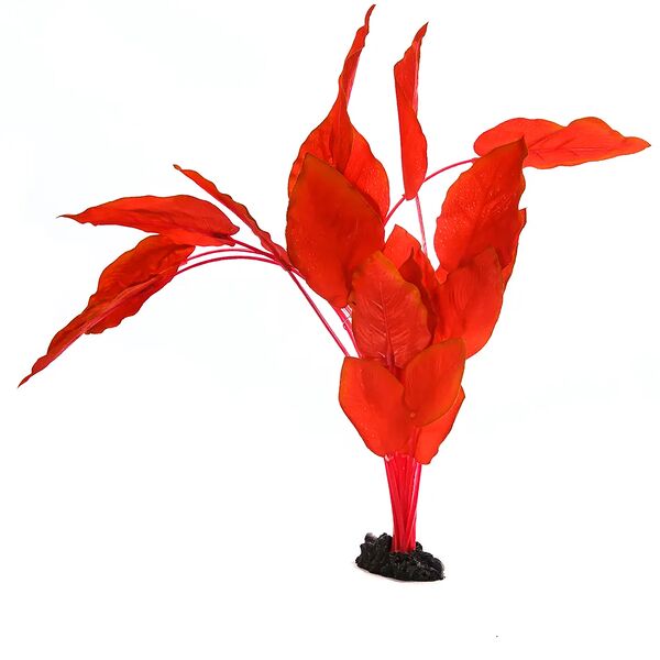 Декор для аквариума Анубиас Бартера, 40см