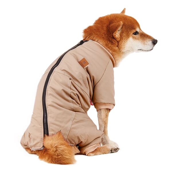 Комбинезон Petmax на молнии бежевый XXXXL (мальчик)