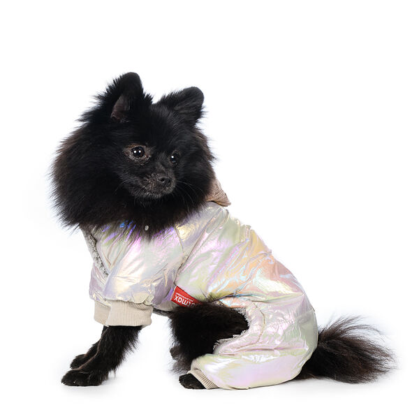 Комбинезон с капюшоном для собак XS разноцветный (унисекс)