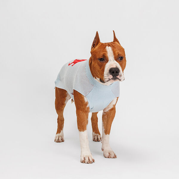 Свитер с оленем для собак, 3XL, 46 см, голубой