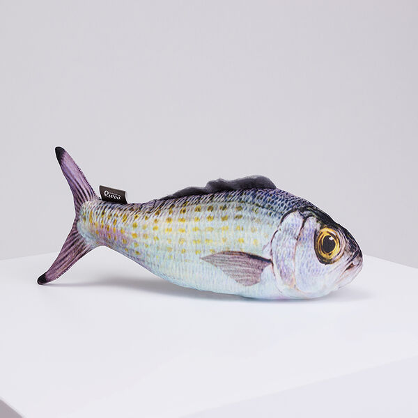 Игрушка для кошек Рыба, 25 см