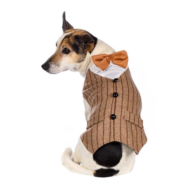 Фрак для собак M бежевый (унисекс)