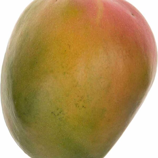 Манго Кейт, вес