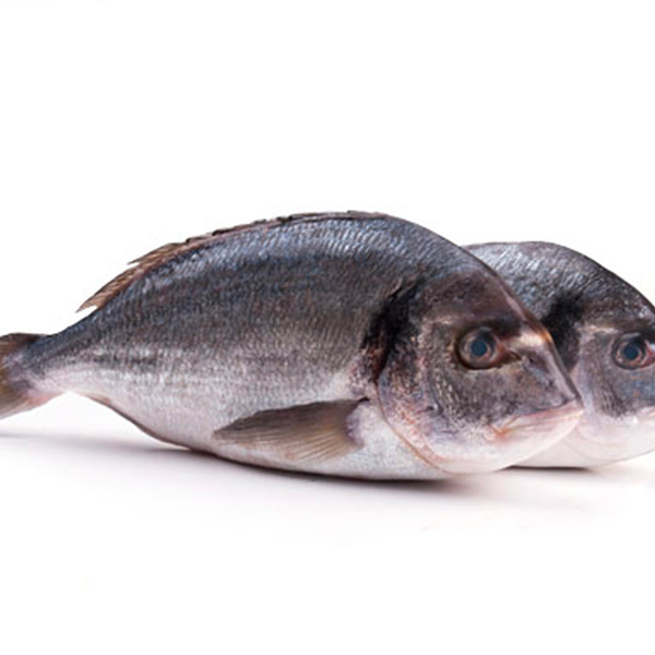 Дорада (морской карась) от 400 