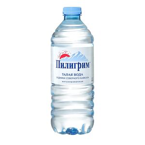 Вода минеральная Пилигрим негазированная спорт пэт 0,5л