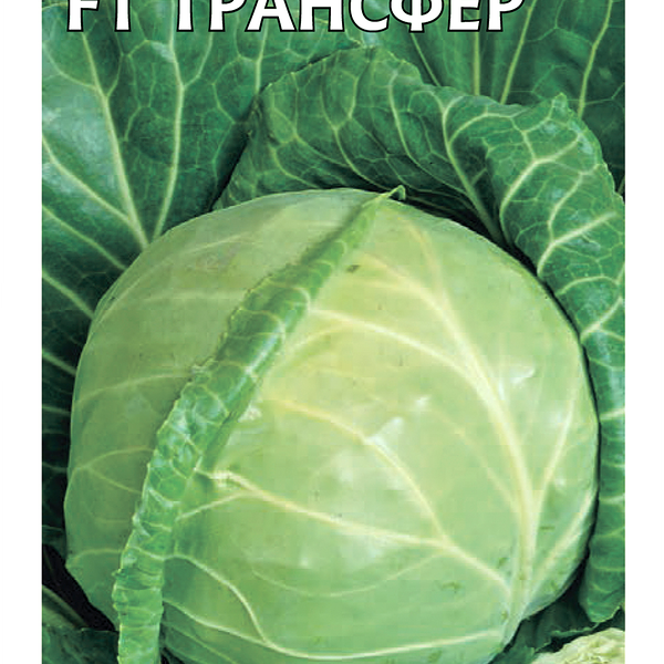 Семена ГАВРИШ Капуста белокочанная Трансфер F1, 10шт