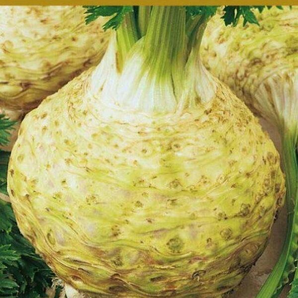 Семена Сельдерей Пражский гигант ТМ Поиск