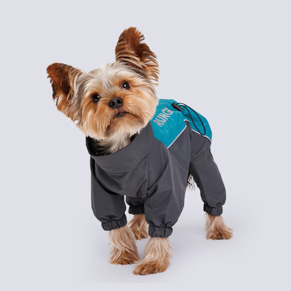 Дождевик Йорк, Чихуа мальчик 2XL бирюзовый