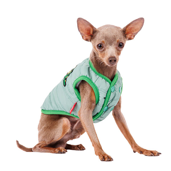 Жилетка для собак с дракошей XS (унисекс) в ассортименте