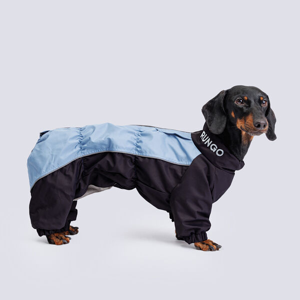 Комбинезон теплый для большой таксы Rungo, 50x44x60 см, голубой-черный (мальчик)