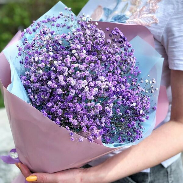 Букет фиолетовой гипсофилы