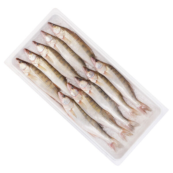 Судак азовский средний охлажденный ОПТ