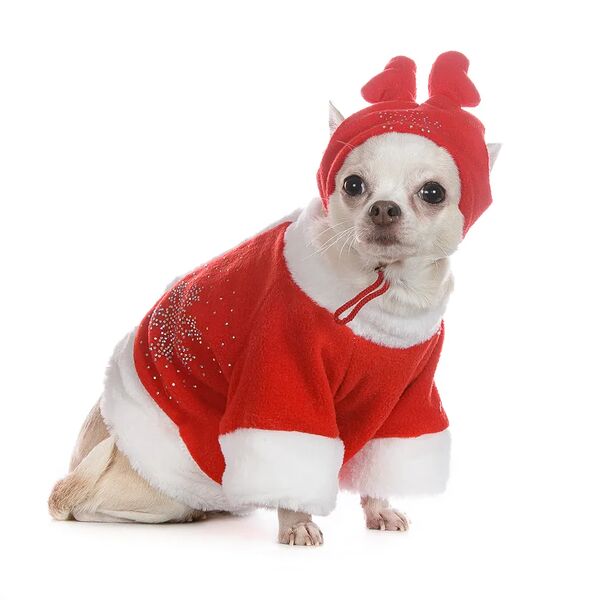 Шапка для собак Олень S красный (унисекс)