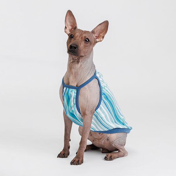 Майка голубая в полоску 45см