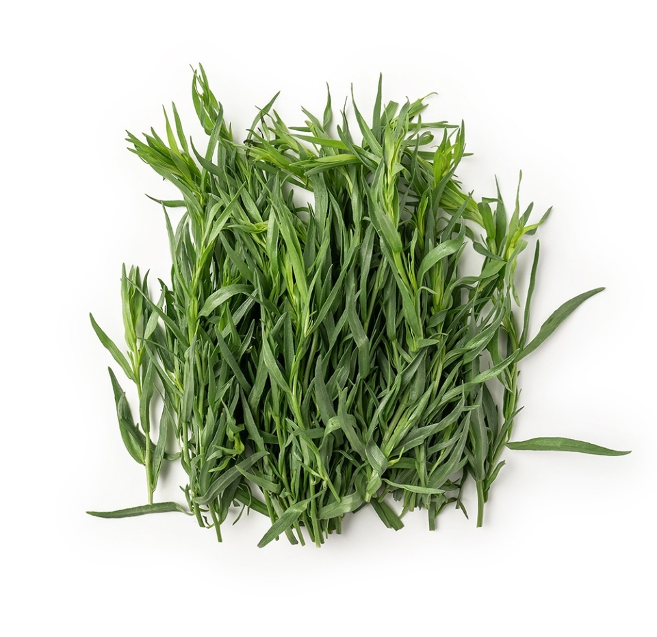 

Эстрагон (тархун), «Просто Азбука»