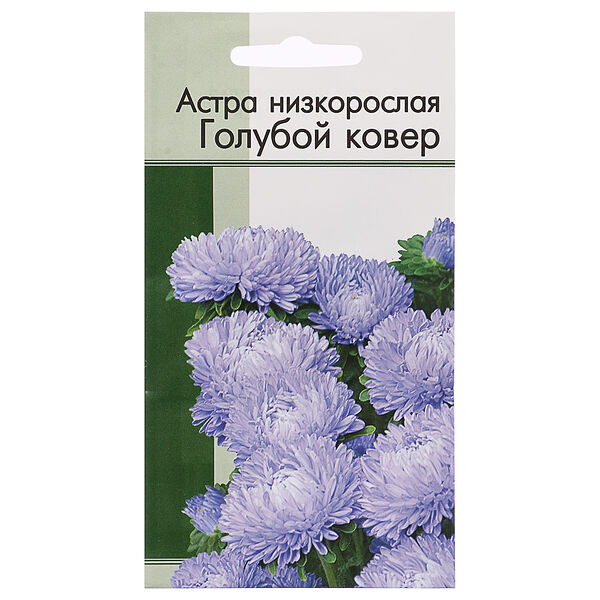 Семена астра низкорослая голубой ковер 0,2 гр