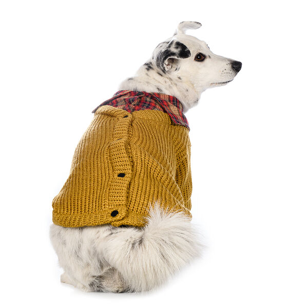 Свитер с пуговицами для собак 3XL желтый (унисекс)