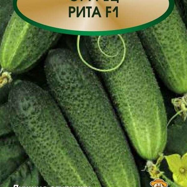 Семена Огурец Рита 12 шт ТМ Поиск