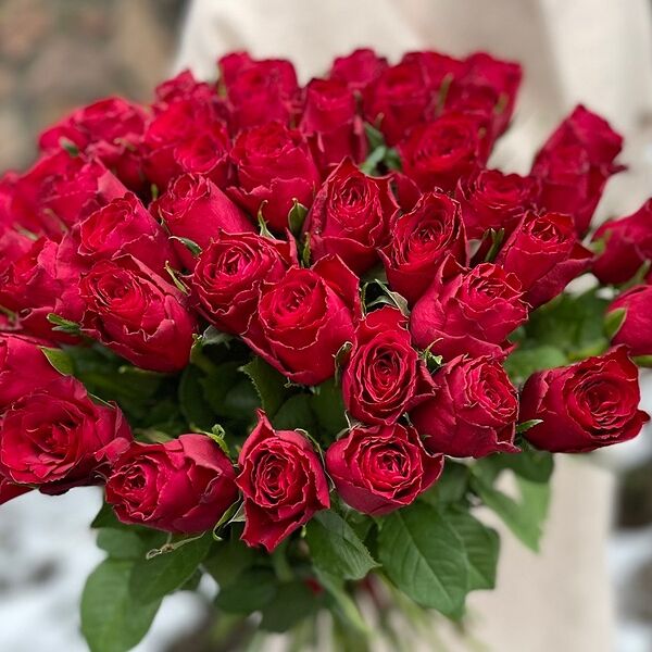 51 кенийская роза Камала (50 см)