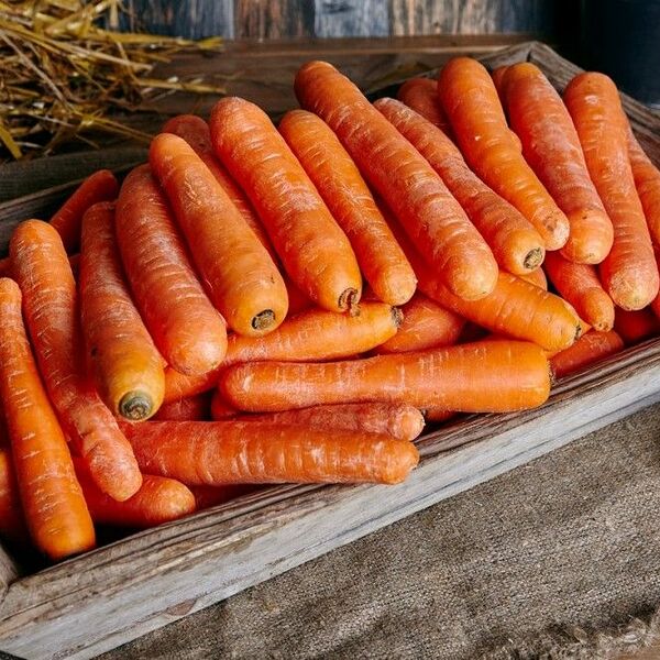 Морковь мытая