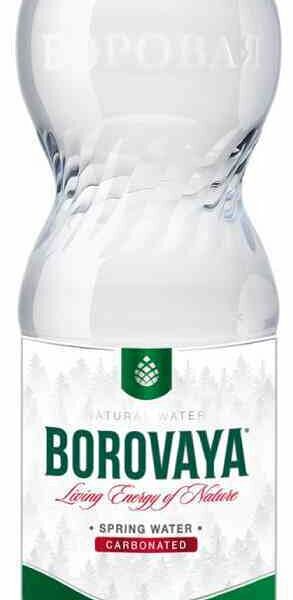 Вода минеральная лечебно-столовая Боровая газированная