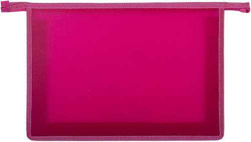 

Папка для тетрадей Пифагор Little friend А4 1 отделение на молнии 1 шт. в ассортименте
