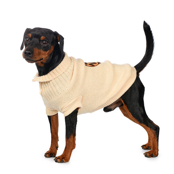 Свитер для собак Petmax 55см 4XL бежевый